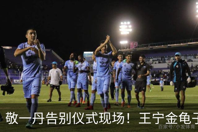 敬一丹告别仪式现场！王宁金龟子现身送别，多位主持人忍不住哭泣